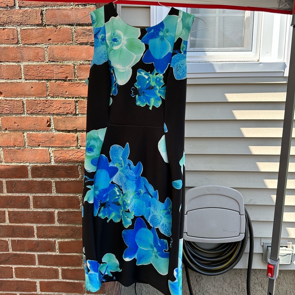Size 10 Floral Calvin Klein Dress
